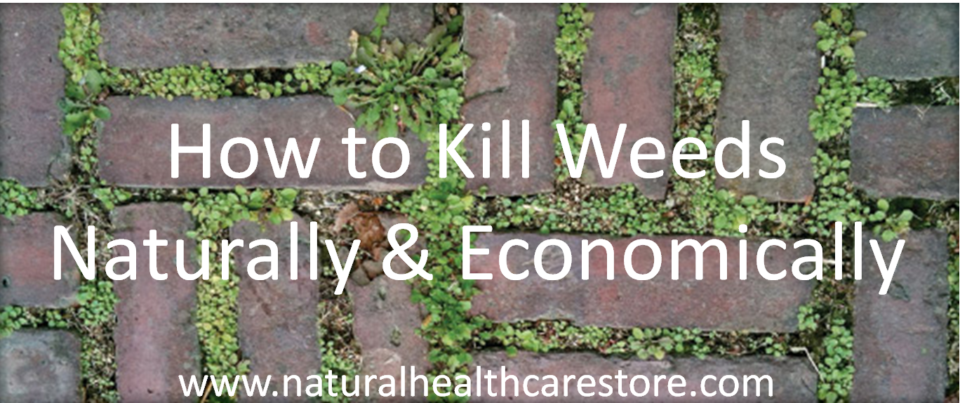 Organic Gardening Natural Garden & Lawn Care Killing Weeds Naturally